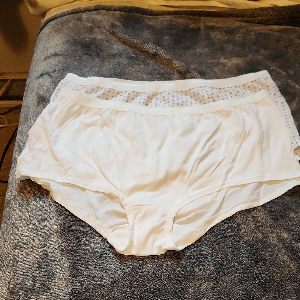 Fruit of the Loom White Women’s Full Coverage Briefs with Subtle Dot Waistband